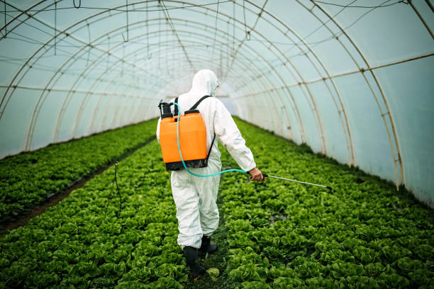 Best Commercial Pest Control Services  in Clisle, AR