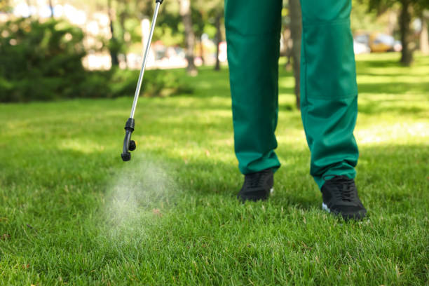 Reliable Carlisle, AR Pest Control Solutions