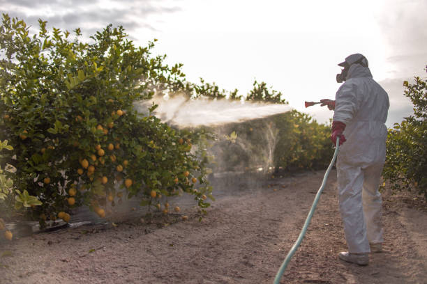 Best Bed Bug Extermination  in Clisle, AR
