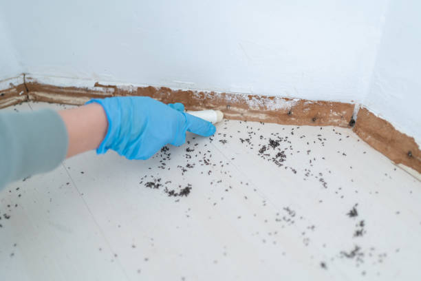 Best Best Pest Control Companies  in Clisle, AR