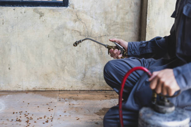 Flea Control Services in Carlisle, AR